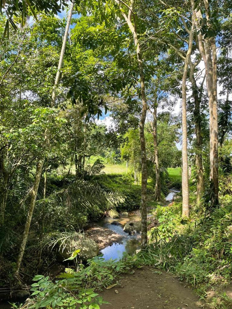 Satu Lingkung Hotel Tetebatu Buitenkant foto