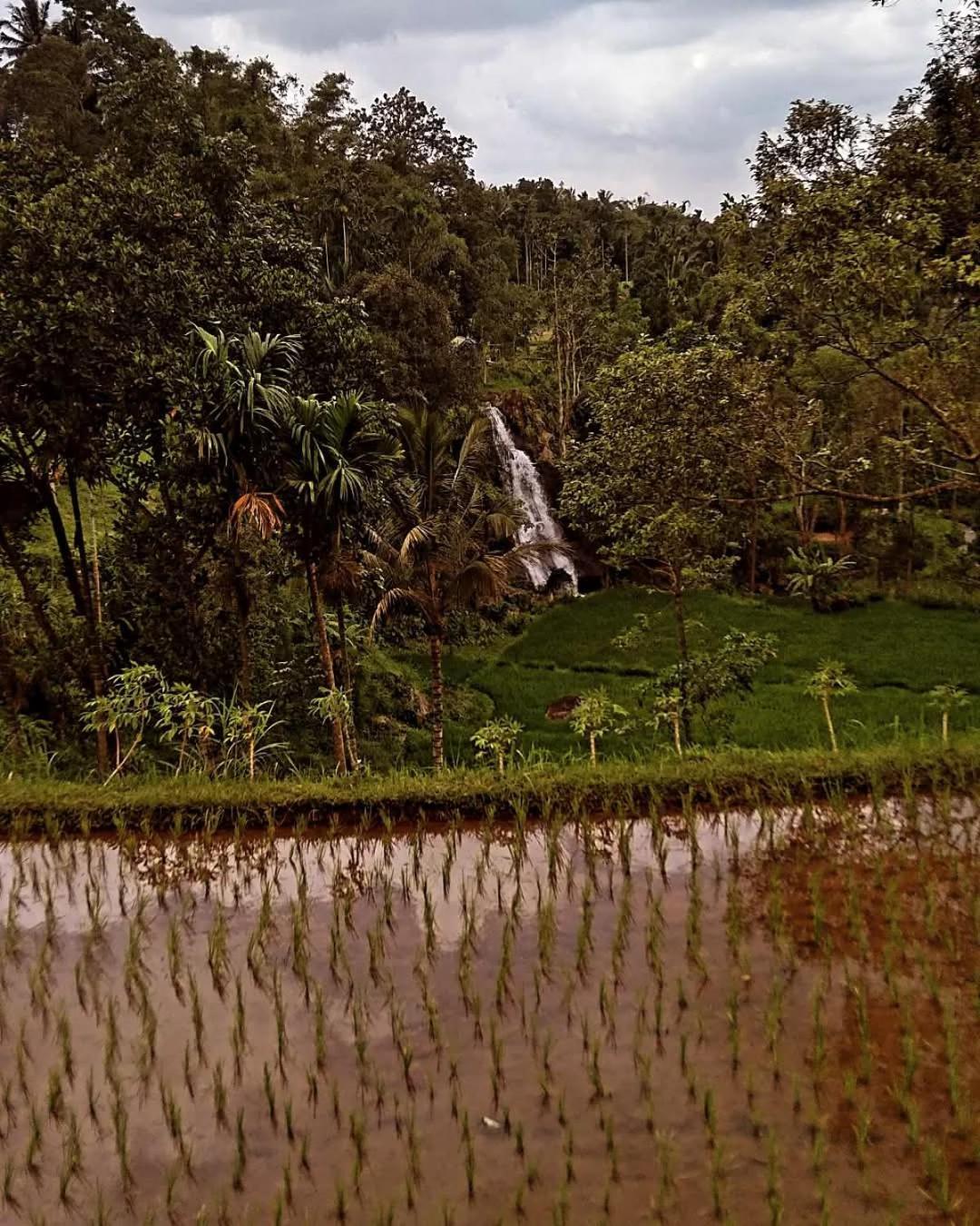Satu Lingkung Hotel Tetebatu Buitenkant foto