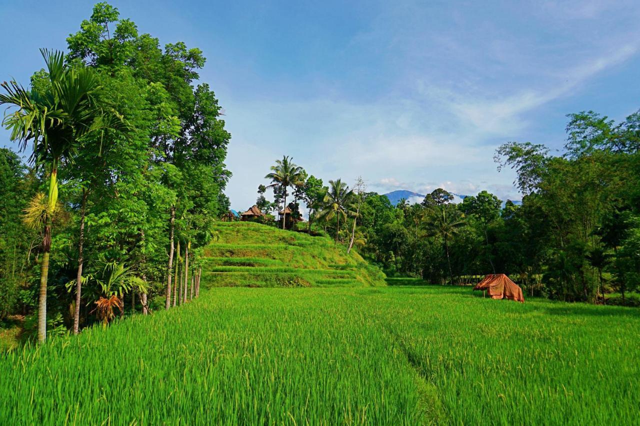 Satu Lingkung Hotel Tetebatu Buitenkant foto